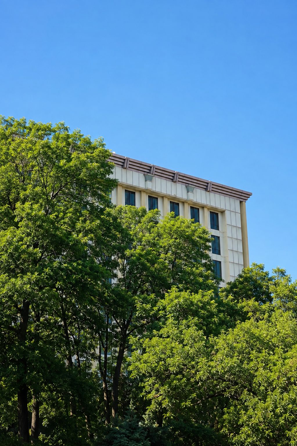 A commercial office building framed by mature trees
